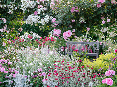 RHS-Garden-Rosemoor.jpg